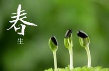春季养生