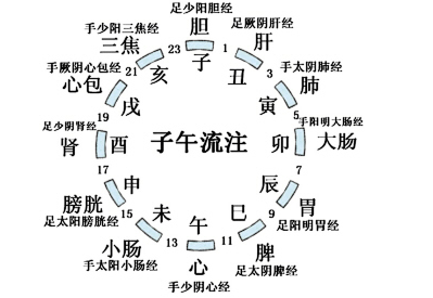 中医子午流注学说——健康长寿的奥秘